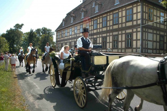 hochzeitsbild